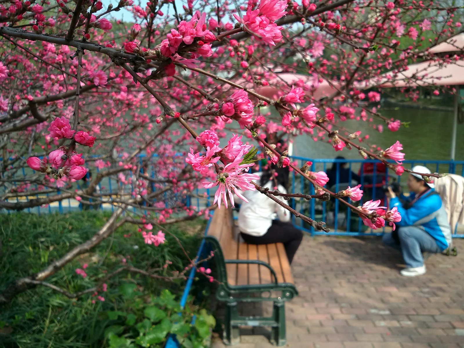 咖啡拉花，2014年3月30日