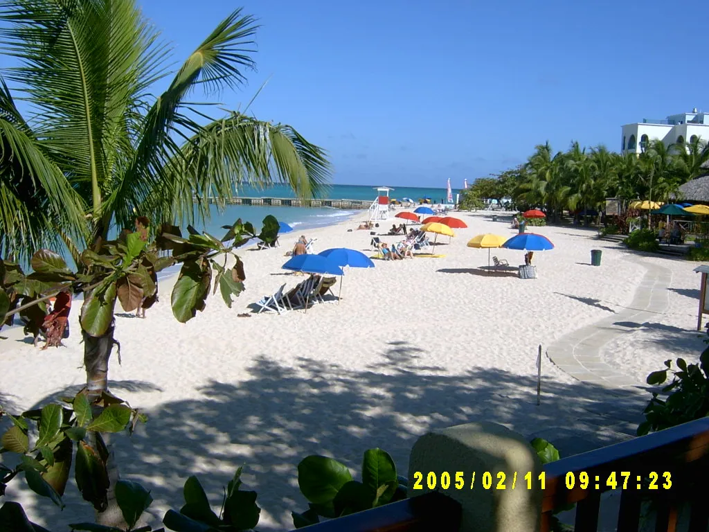 大事记 / Negril，SV301269.JPG