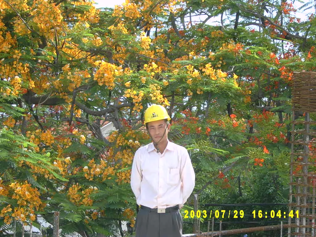 其他，SV30000245.JPG