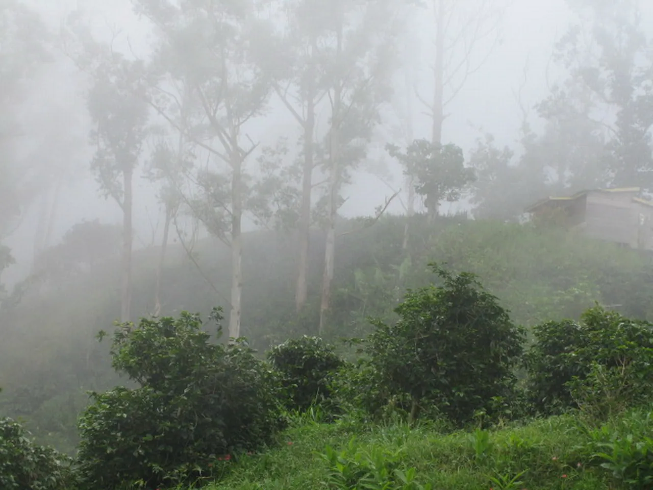 大事记 / Blue Mountain，IMG_1401.jpg