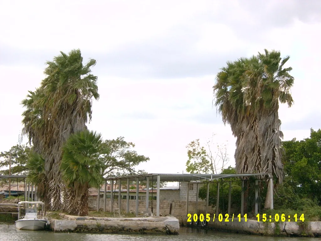 大事记 / 黑河，SV301390.JPG