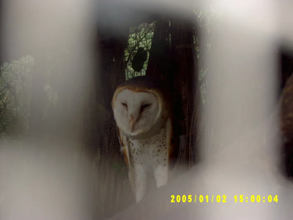大事记 / Hope Garden&Hope Zoo，SV300604.JPG