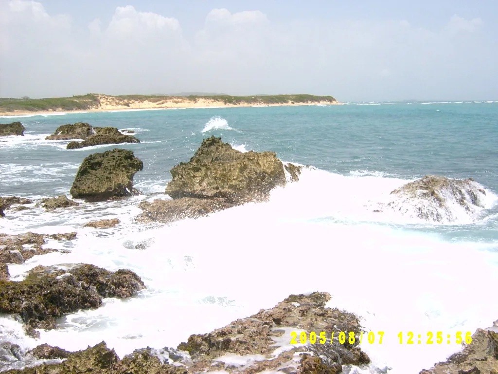 小事记 / 抓海螺，SV303168.JPG