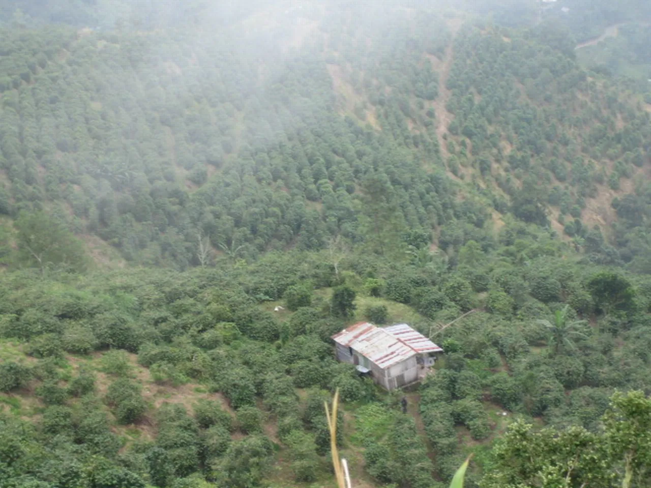 大事记 / Blue Mountain，IMG_1402.jpg