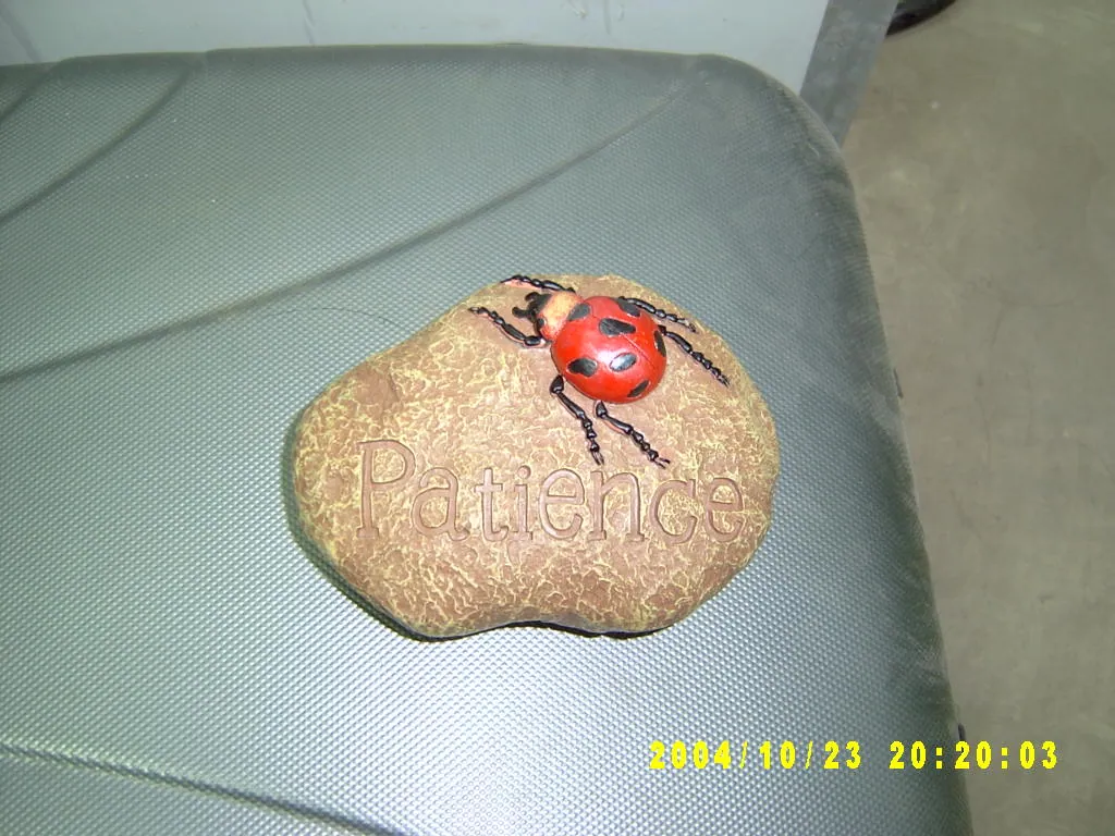 小事记 / Photos In the Jamaica，SV300122.JPG