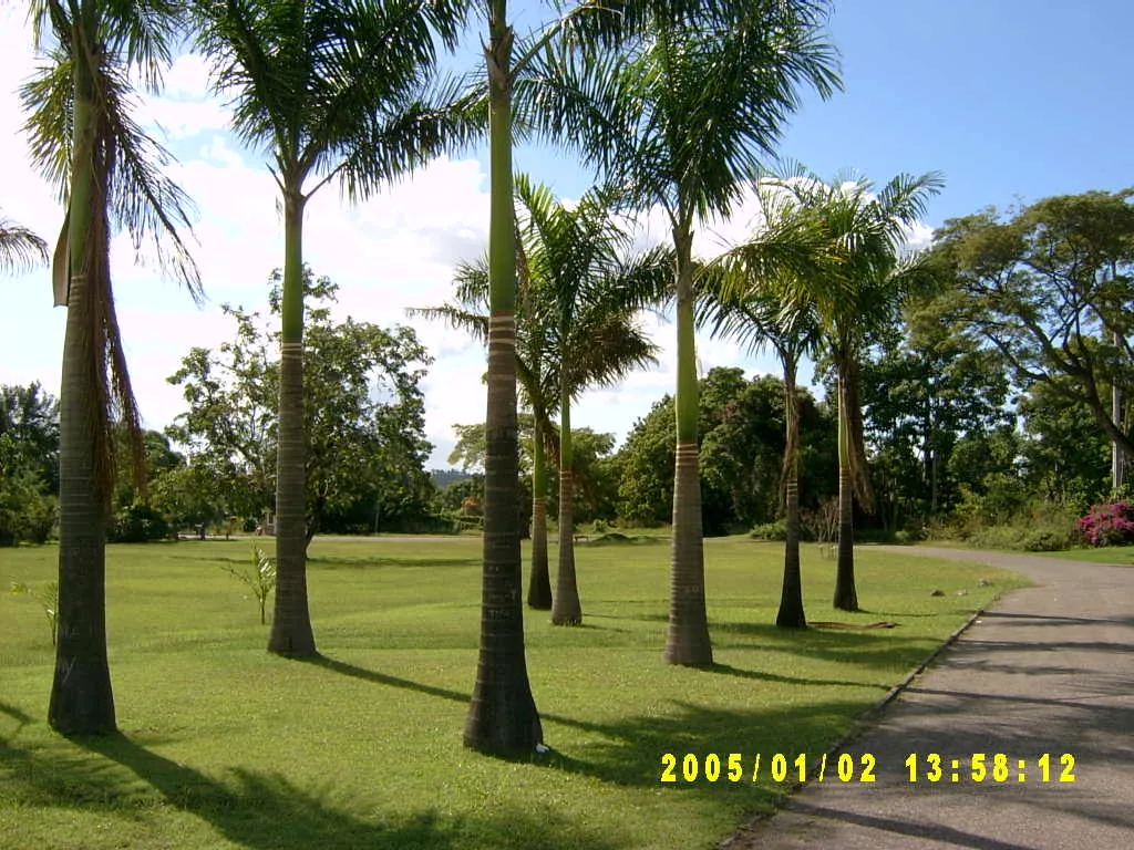 大事记 / Hope Garden&Hope Zoo，SV300505.JPG