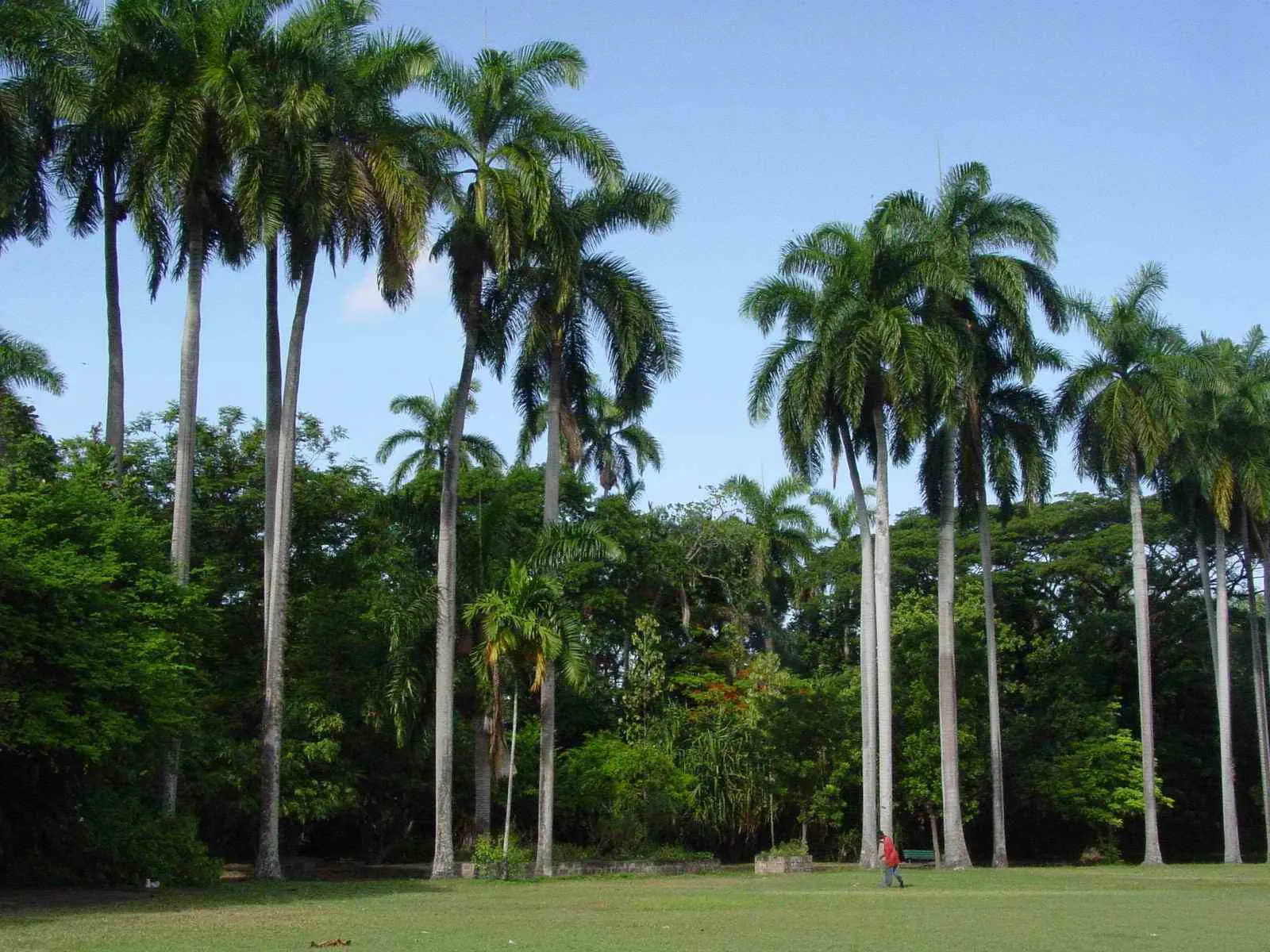 Jamaica标志性照片，15.jpg