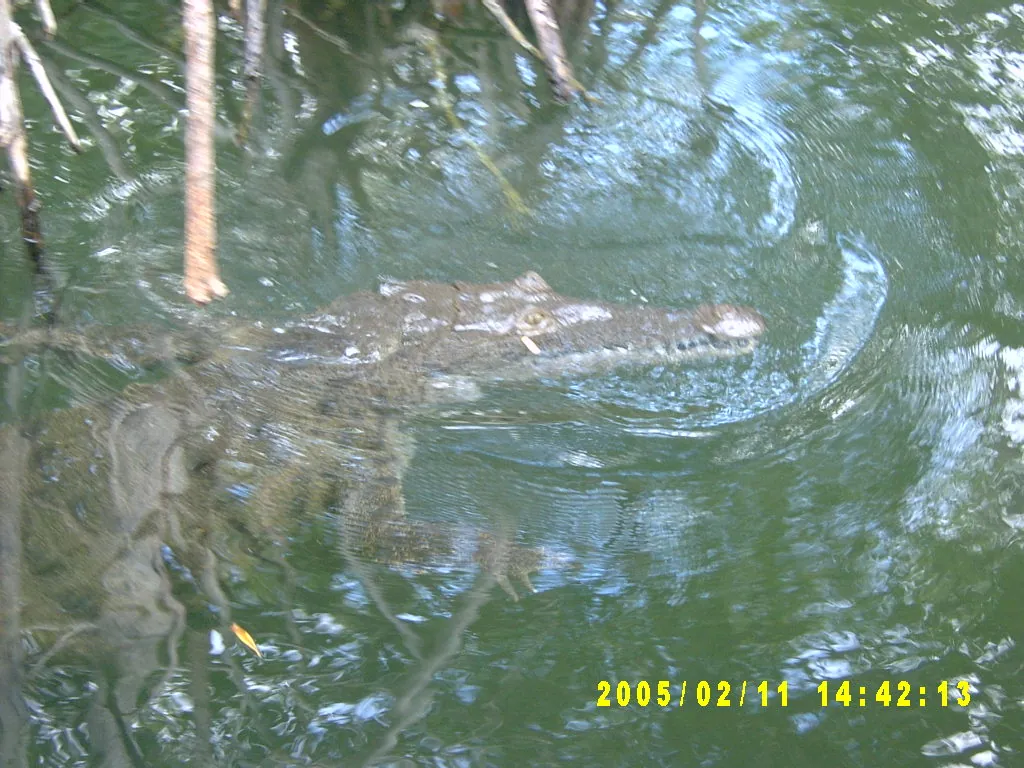 大事记 / 黑河，SV301381.JPG