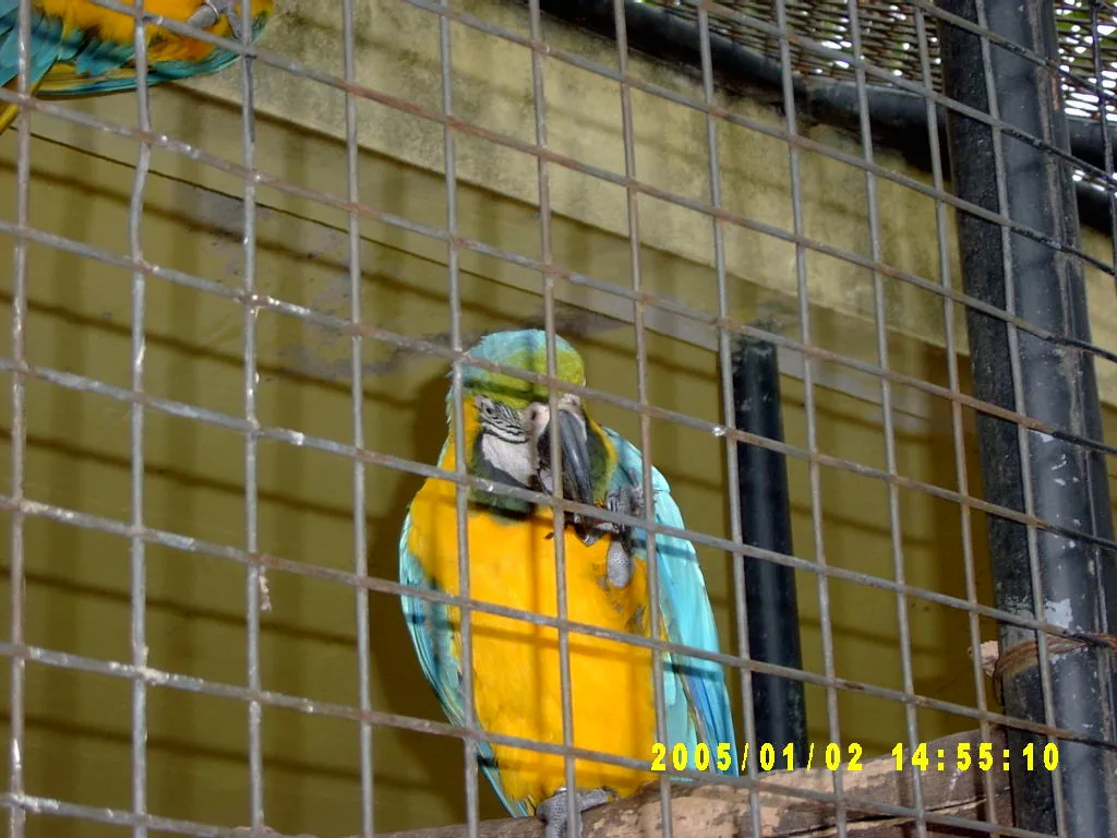 大事记 / Hope Garden&Hope Zoo，SV300599.JPG