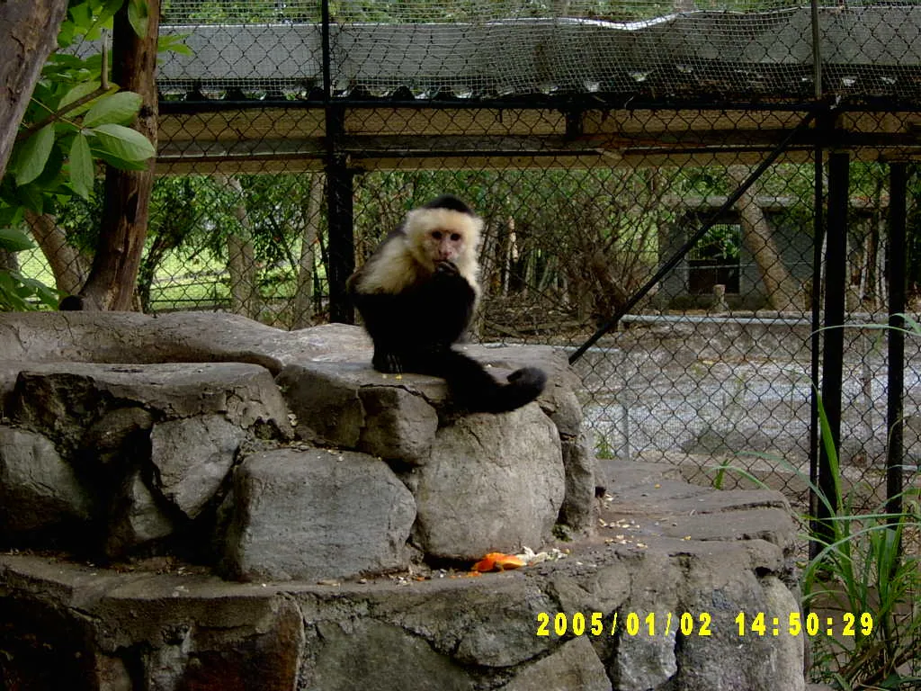 大事记 / Hope Garden&Hope Zoo，SV300587.JPG