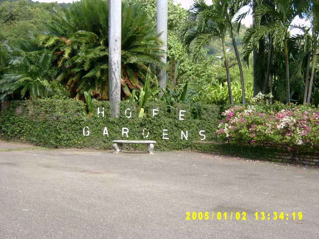 大事记 / Hope Garden&Hope Zoo，SV300465.JPG