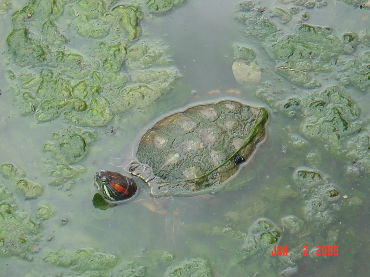 大事记 / Hope Garden&Hope Zoo，DSC02058.JPG