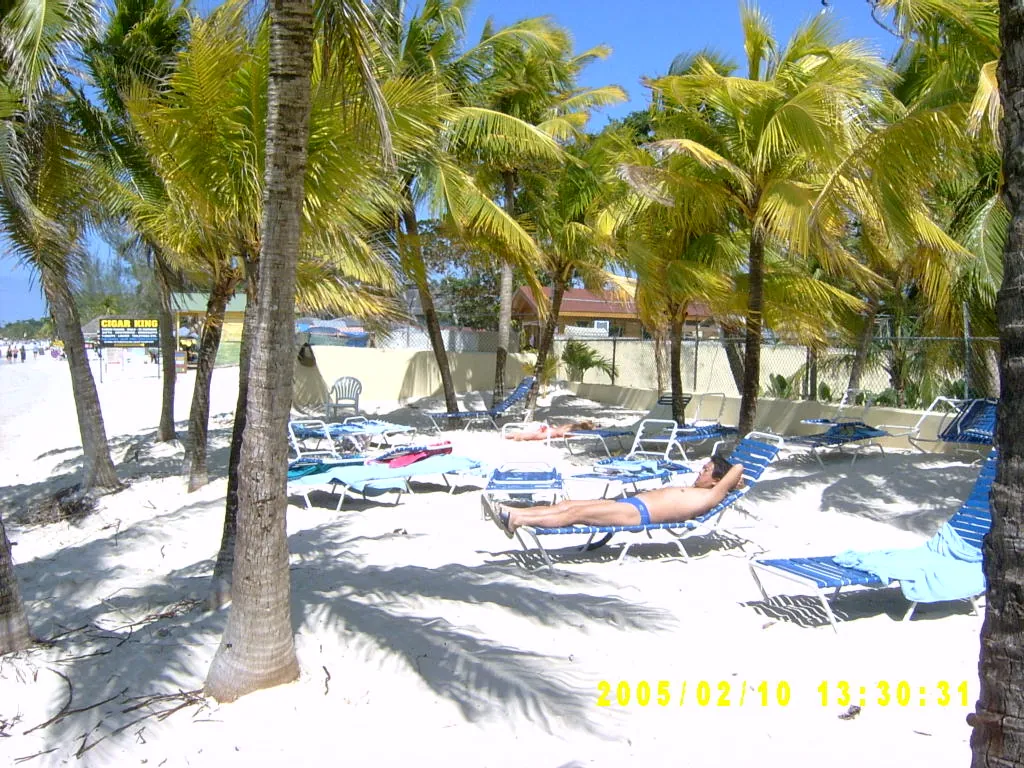 大事记 / Negril，SV301207.JPG