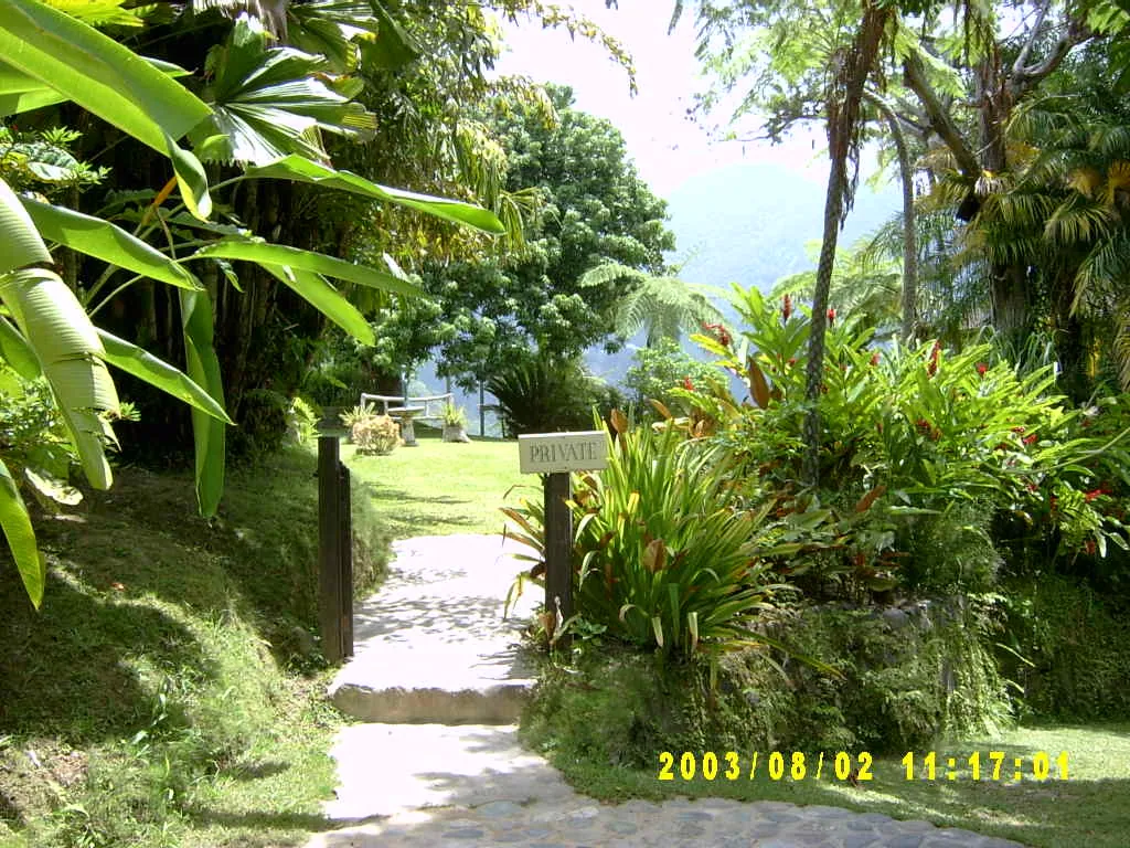大事记 / Blue Mountain，SV300003.JPG