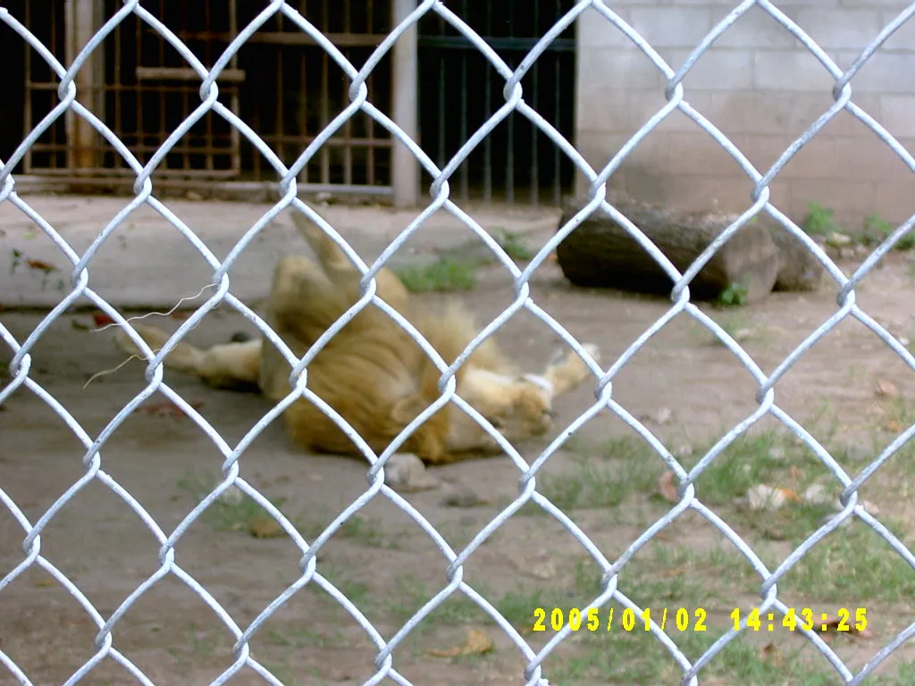 大事记 / Hope Garden&Hope Zoo，SV300574.JPG