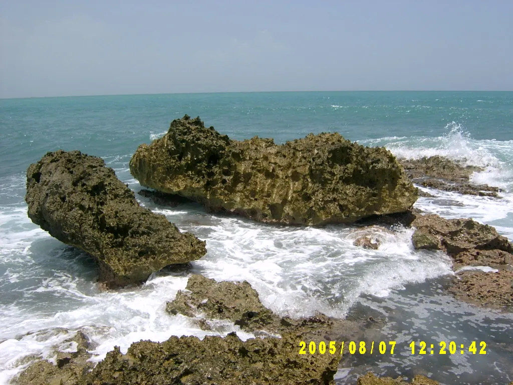 小事记 / 抓海螺，SV303163.JPG