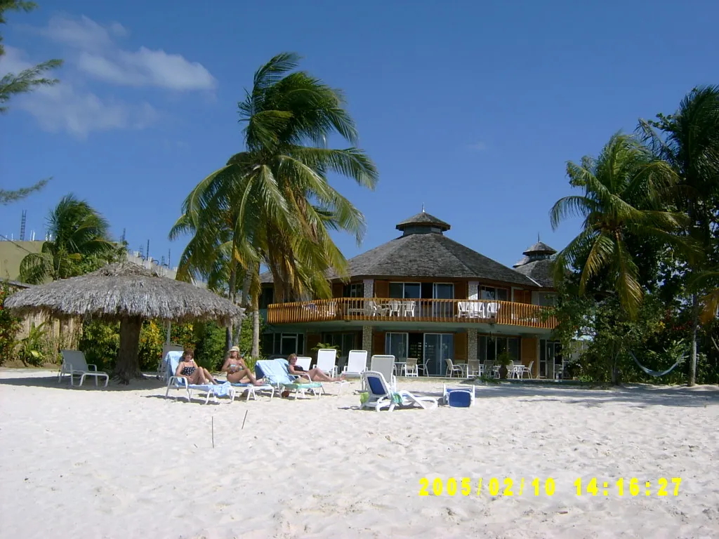 大事记 / Negril，SV301227.JPG
