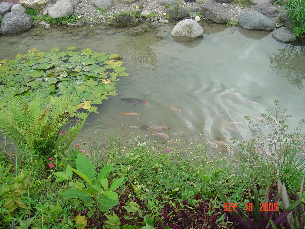 大事记 / 八条河，DSC02931.JPG