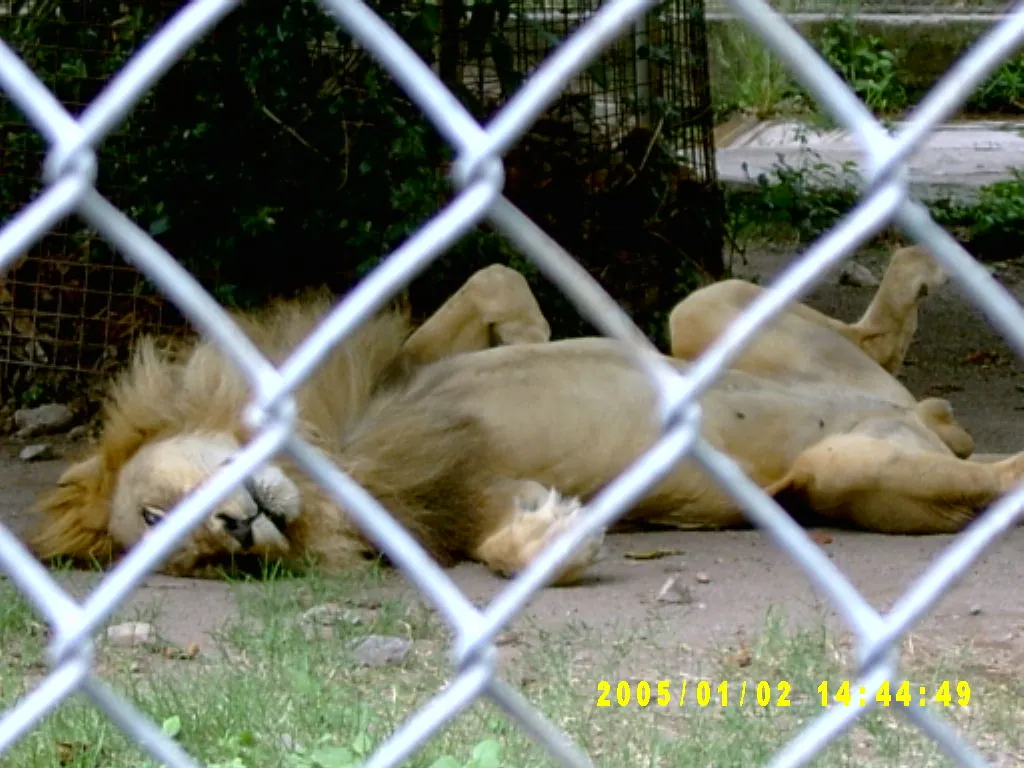 大事记 / Hope Garden&Hope Zoo，SV300577.JPG