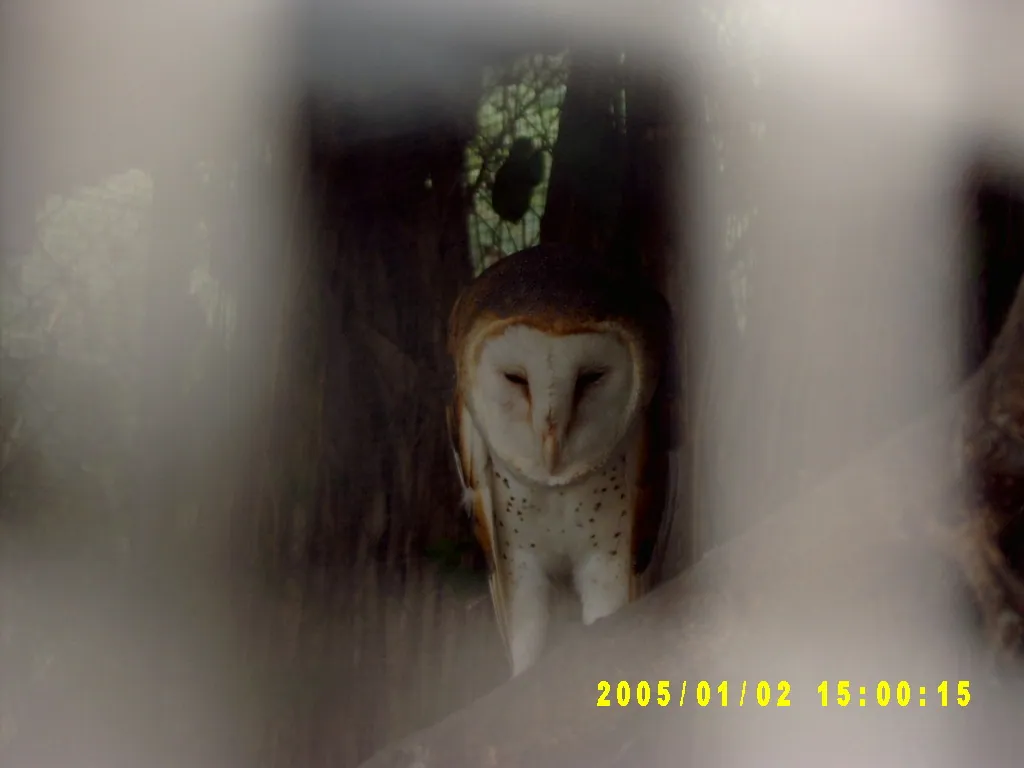 大事记 / Hope Garden&Hope Zoo，SV300605.JPG