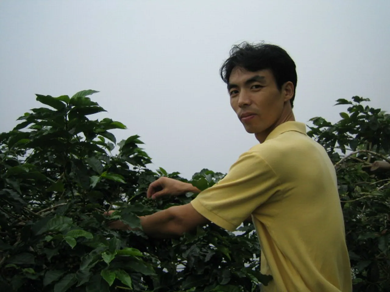 大事记 / Blue Mountain，IMG_1388.jpg
