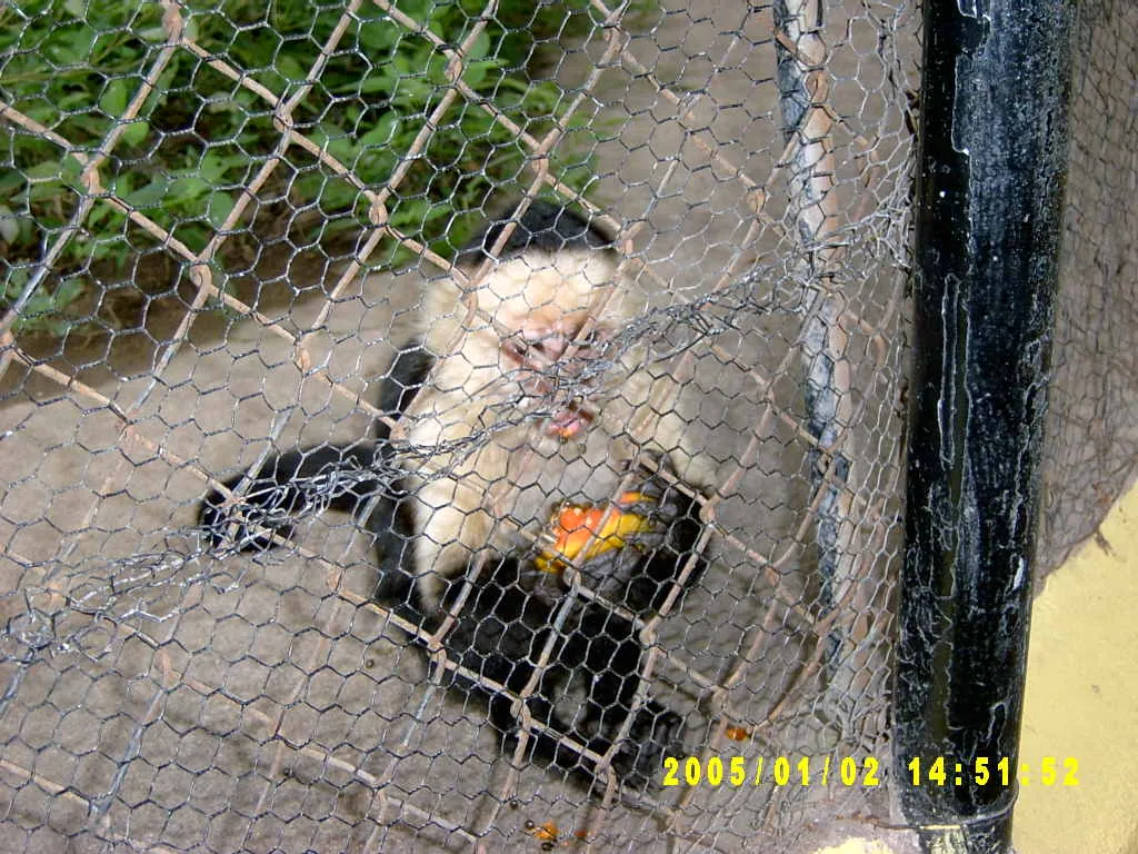 大事记 / Hope Garden&Hope Zoo，SV300594.JPG