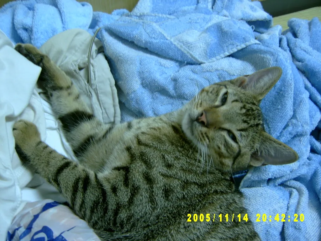 小事记 / Photos In the Jamaica，SV303567.JPG