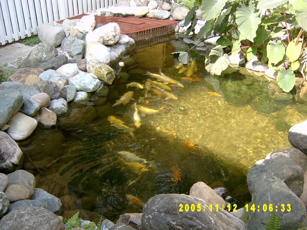 大事记 / 金斯敦城市，SV303485.JPG