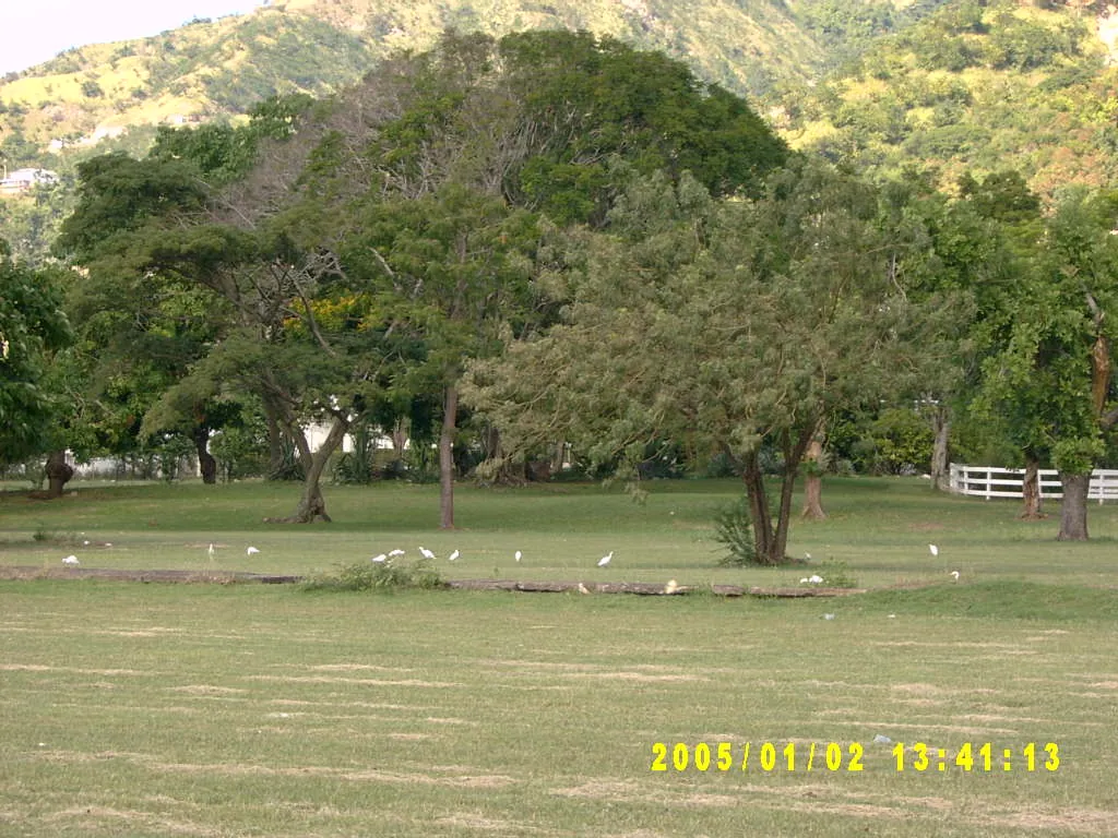 大事记 / Hope Garden&Hope Zoo，SV300478.JPG