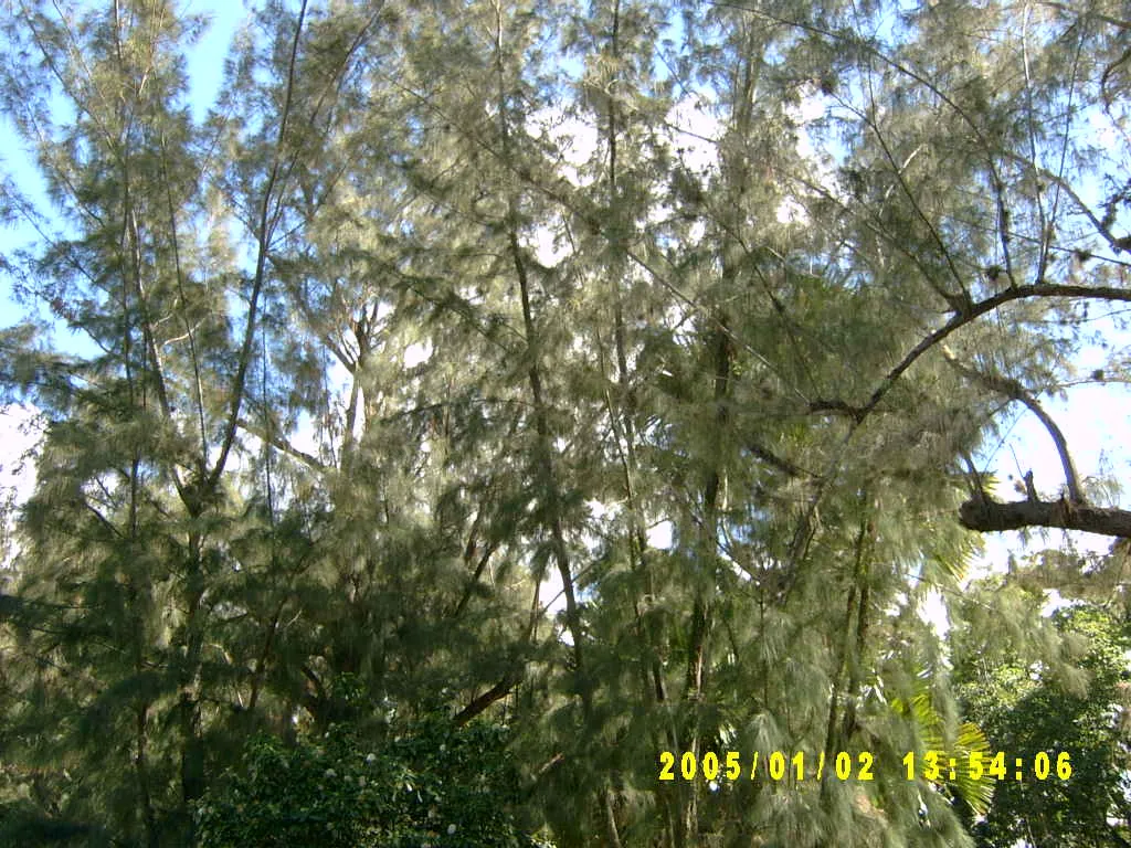 大事记 / Hope Garden&Hope Zoo，SV300497.JPG