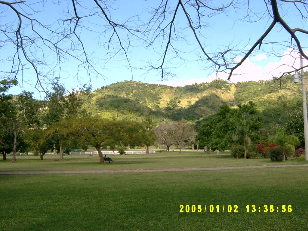 大事记 / Hope Garden&Hope Zoo，SV300476.JPG