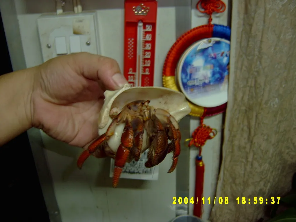 小事记 / Photos In the Jamaica，SV300080.JPG