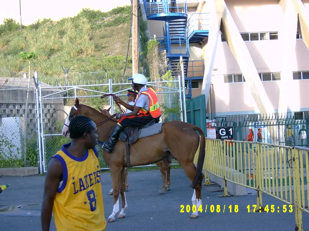 大事记 / Jamaica vs American(socer)，SV300055.JPG