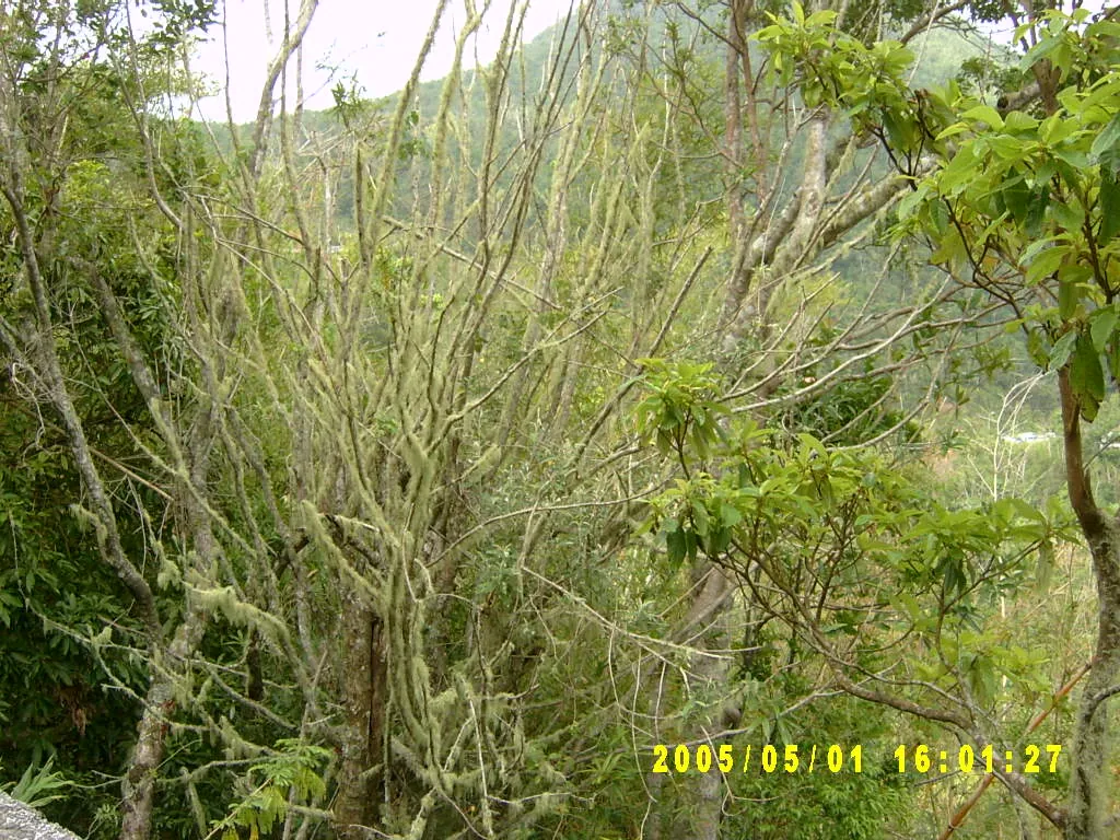 小事记 / 山顶烧烤，SV302305.JPG