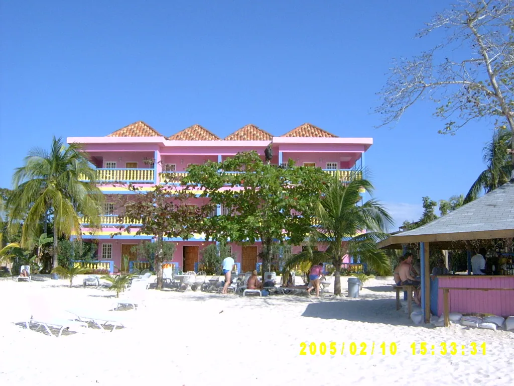 大事记 / Negril，SV301246.JPG