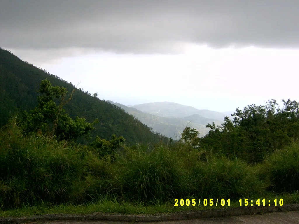 小事记 / 山顶烧烤，SV302298.JPG