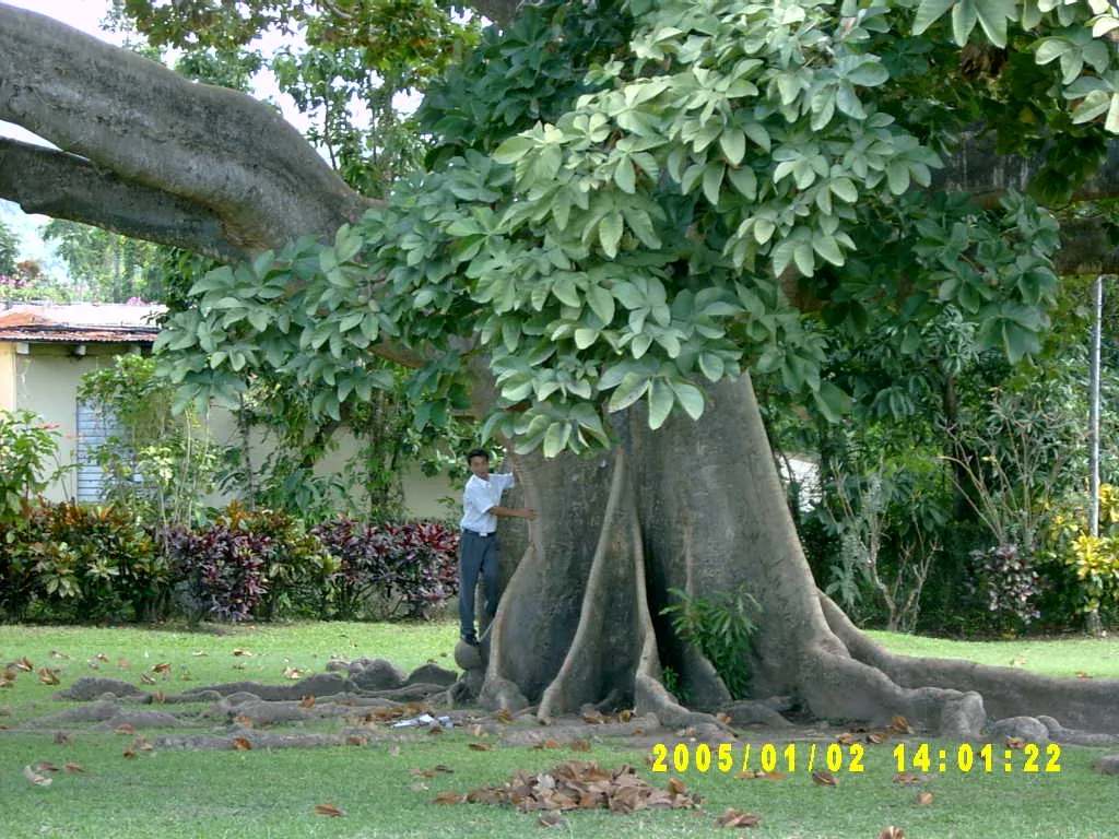 大事记 / Hope Garden&Hope Zoo，SV300511.JPG