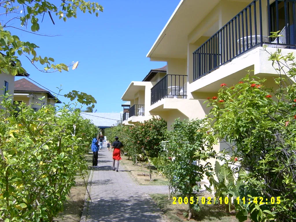 大事记 / Negril，SV301188.JPG