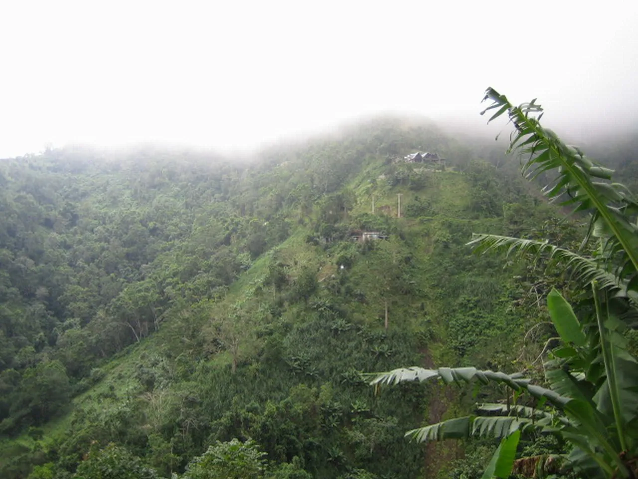 大事记 / Blue Mountain，IMG_1355.jpg