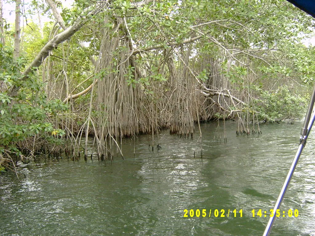 大事记 / 黑河，SV301363.JPG