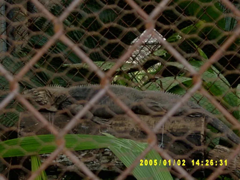 大事记 / Hope Garden&Hope Zoo，SV300548.JPG