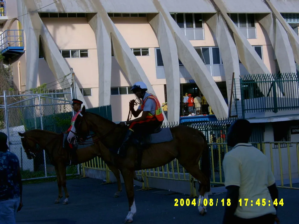大事记 / Jamaica vs American(socer)，SV300054.JPG