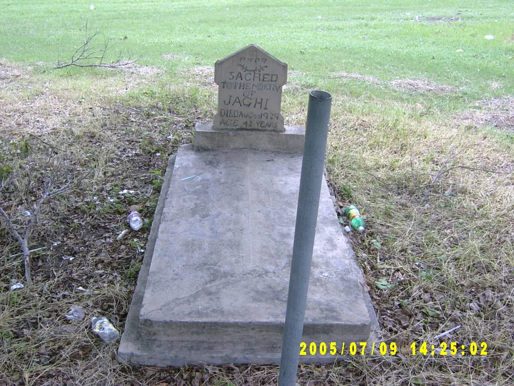 大事记 / 西印度大学（UWI），SV303054.JPG