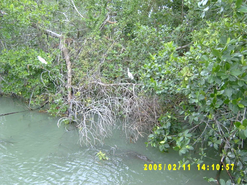 大事记 / 黑河，SV301333.JPG