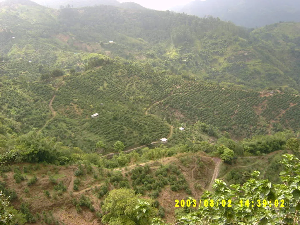 大事记 / Blue Mountain，SV300067.JPG