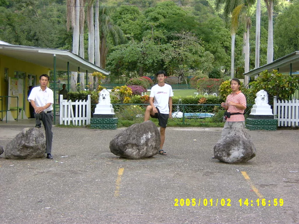 大事记 / Hope Garden&Hope Zoo，SV300533.JPG