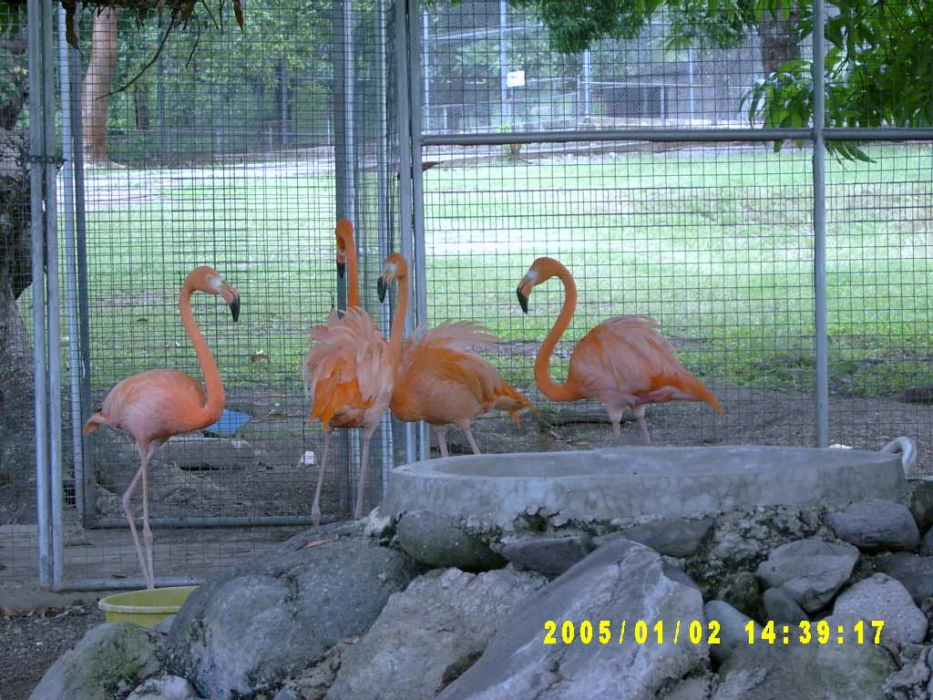 大事记 / Hope Garden&Hope Zoo，SV300567.JPG