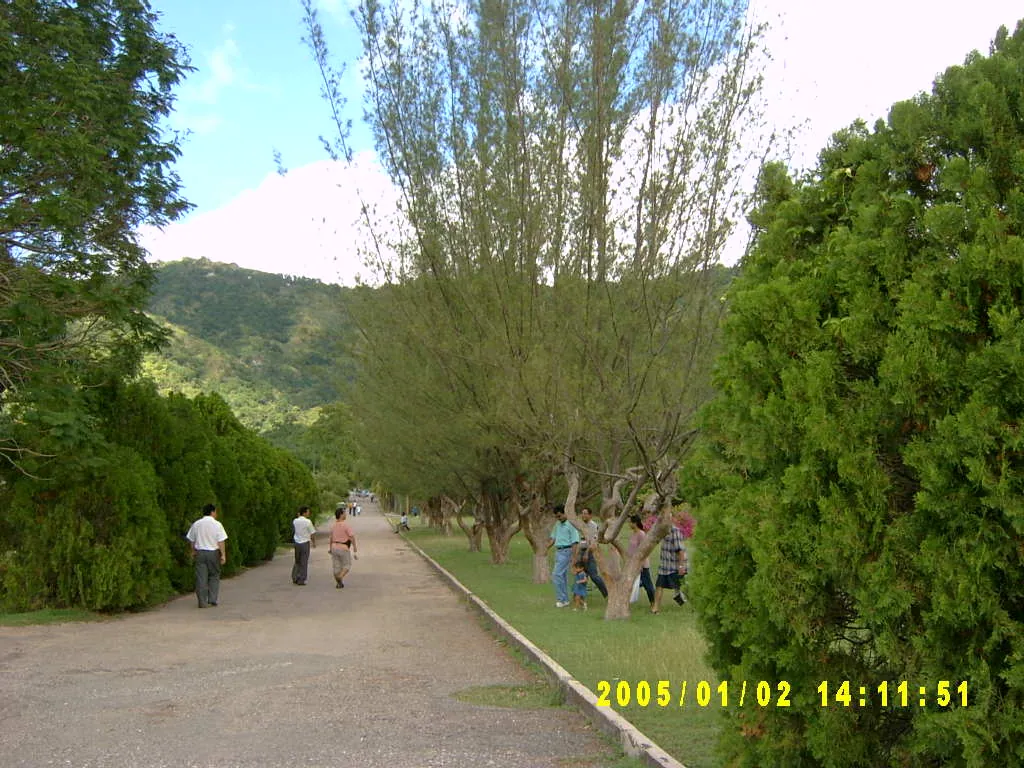 大事记 / Hope Garden&Hope Zoo，SV300529.JPG