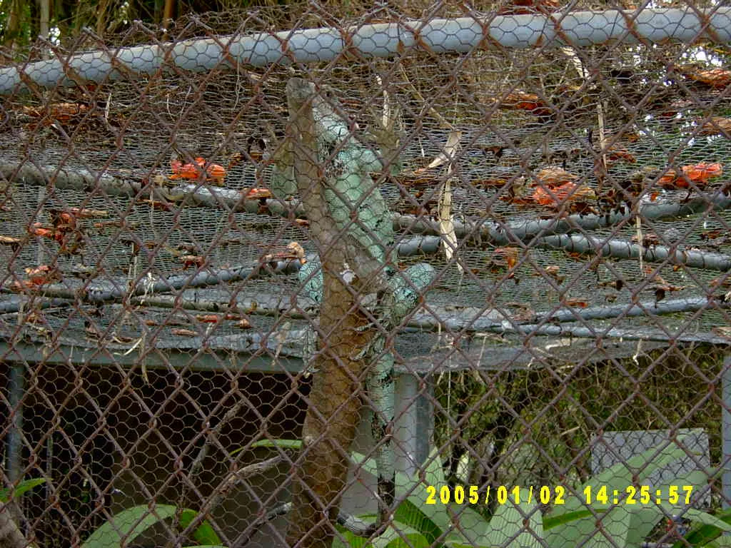 大事记 / Hope Garden&Hope Zoo，SV300547.JPG