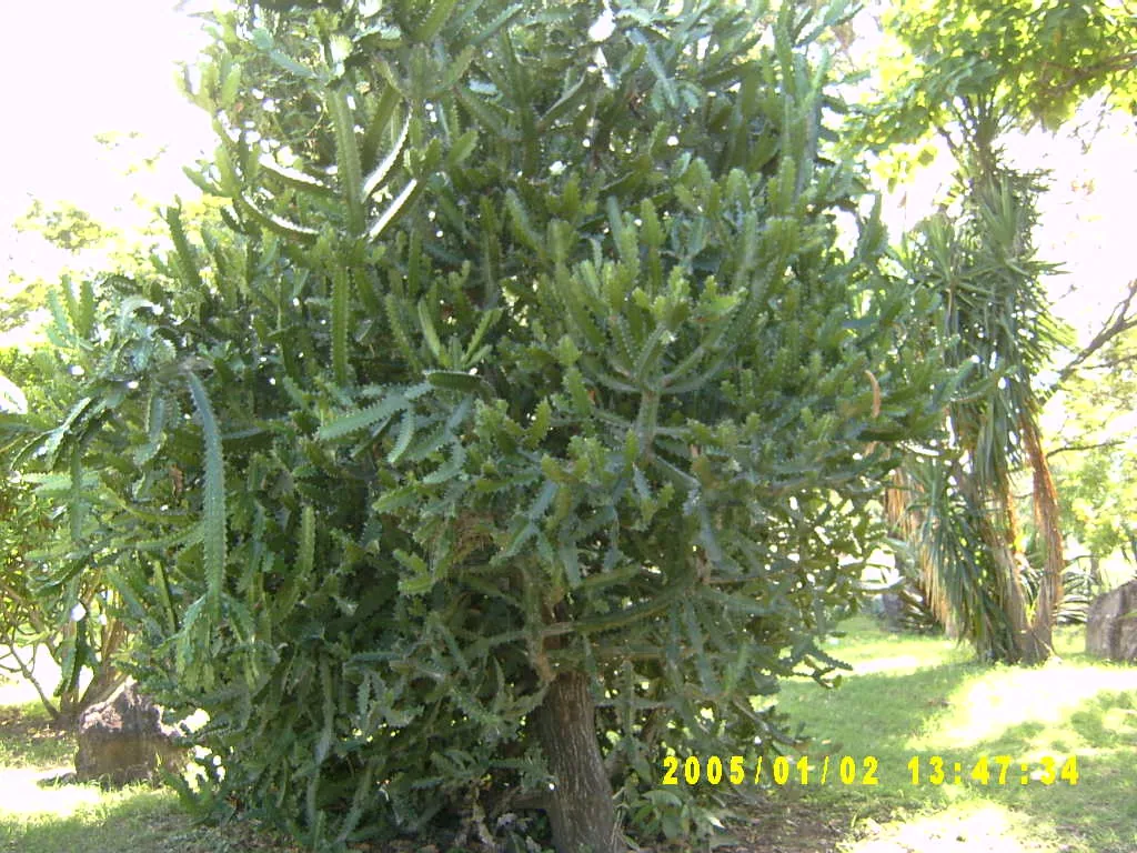 大事记 / Hope Garden&Hope Zoo，SV300489.JPG